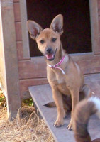 sally 6 20130803 1231152862