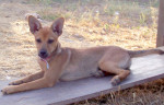 sally 7 20130803 1904108983