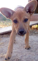 sally 8 20130803 1762199403