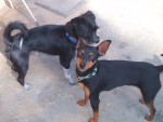 sammy 20101121 1672201802