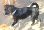 sammy 20101121 1820064058