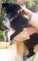 sammy 20101121 1857237529
