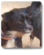 sammy 20101121 2094688265