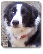 sheila 1 20121109 1545557529