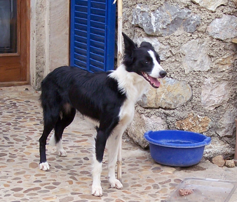 sheila 4 20121109 1578385927