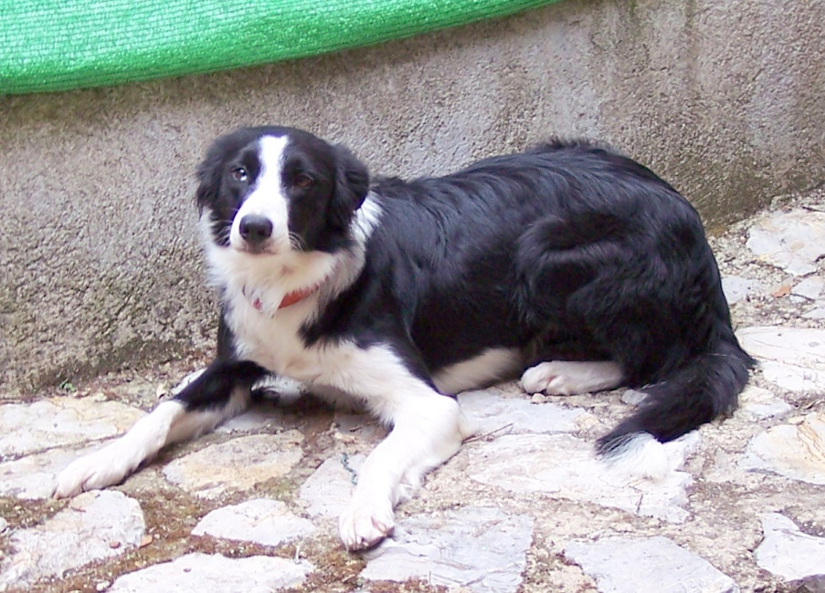 sheila 5 20121109 1396492886