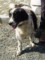 princ 5 20130405 2007223275