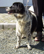 princ 6 20130405 1072749634