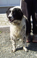 princ 7 20130405 1364094148