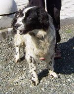 princ 9 20130405 1095698174