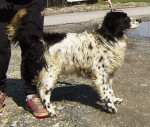 princ 9 20130405 1603869047