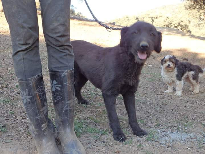 puca 1 20160530 1581575837