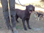 puca 1 20160530 1581575837
