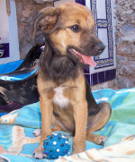 rolando 3 20110928 1120409158