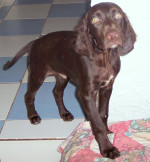romeo 3 20120720 1383409310