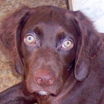 romeo 4 20120720 1740423104