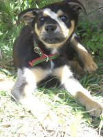 ron 20101116 1806692487