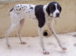 priencessa 20110115 1589190792