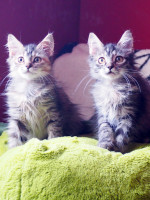 Thelma & Louise