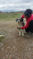 perla 2 20151108 1564601228