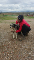perla 3 20151108 1279857831