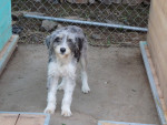 perla 7 20151108 1623763811
