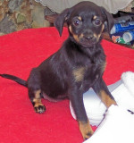 piccoliena 20101110 1547658516