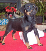 piccoliena 20101110 1661551046