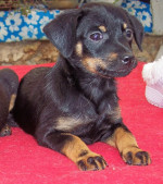 piccoliena 20101110 2069140896