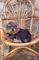 piepa 5 20121109 2034992267