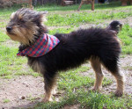 piepa 6 20121109 1803316662