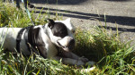 dscf4054 dscf4054