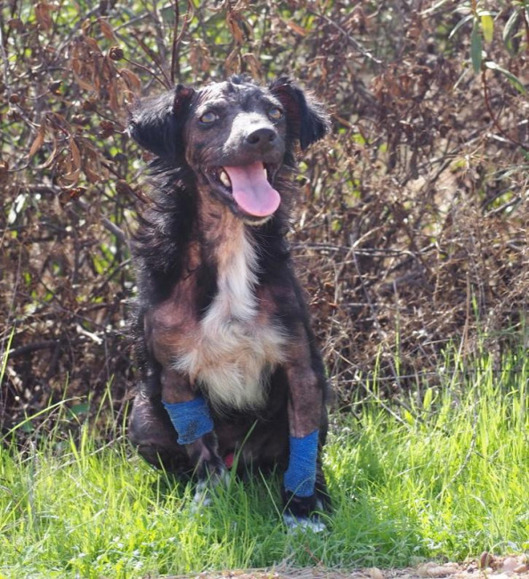 3b92c079 d6d7 44be 9959d4019dd1f55 3b92c079 d6d7 44be 9959d4019dd1f55