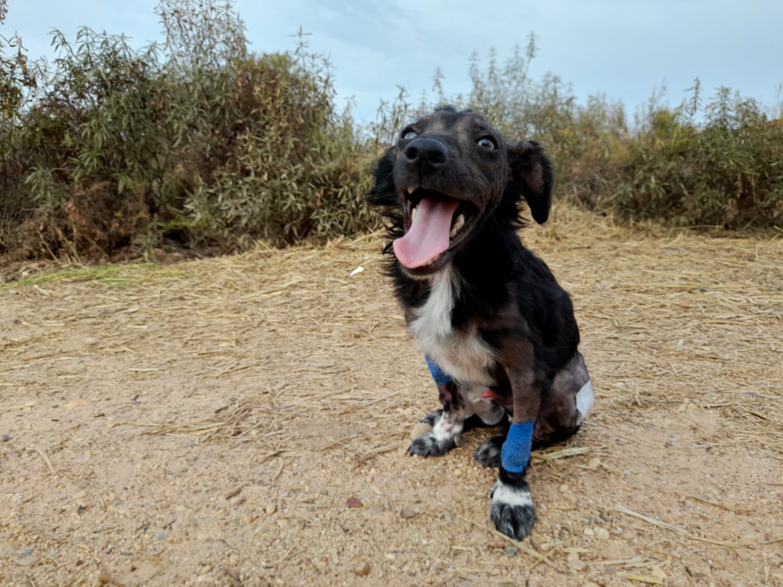 52bc3405 e600 46fe b47bdcf91e6d074 52bc3405 e600 46fe b47bdcf91e6d074