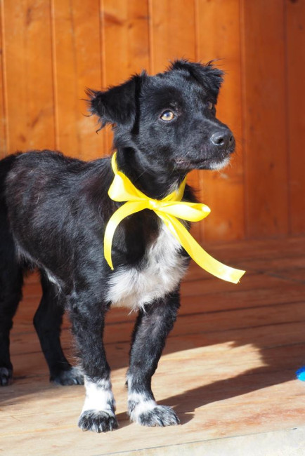 6a4b4d57 fb9c 4ac6 89d9b2765327 6a4b4d57 fb9c 4ac6 89d9b2765327