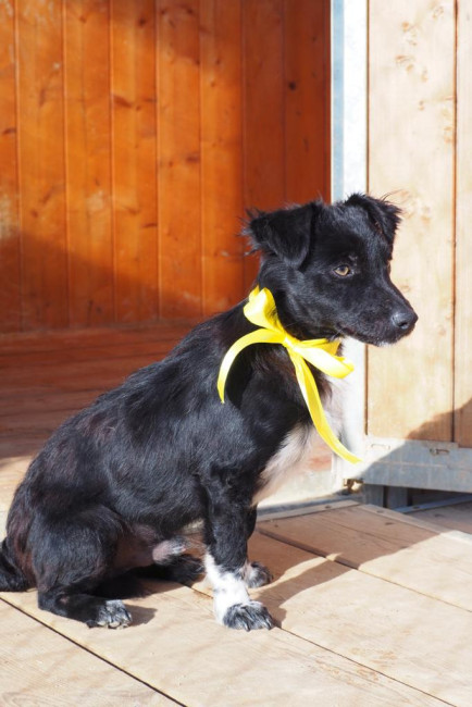 6d1a9706 4763 4eb7 ae6ca7af 6d1a9706 4763 4eb7 ae6ca7af