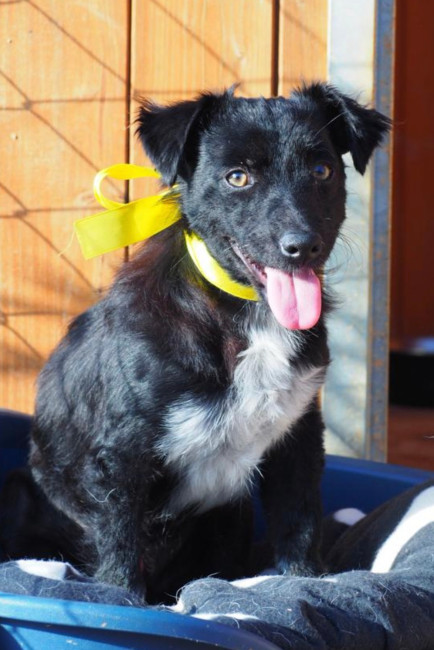 7510c9fd 1b6e 421bbe b0df3437b2c2 7510c9fd 1b6e 421bbe b0df3437b2c2