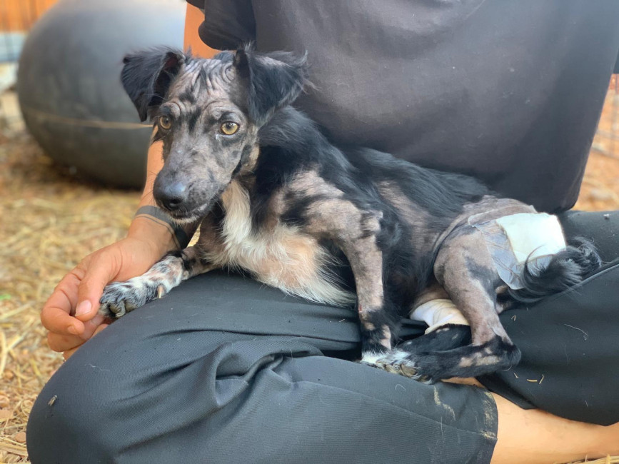 9b63f0bd d1a6a8 bd3d d39d54c1c509 9b63f0bd d1a6a8 bd3d d39d54c1c509