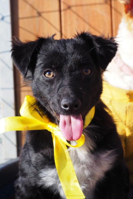 aa63f81b 202c 4fa0 9762b5ad368 aa63f81b 202c 4fa0 9762b5ad368