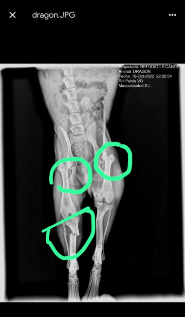 c085b365 a1a4b bdc3 a01db9e10e56 c085b365 a1a4b bdc3 a01db9e10e56