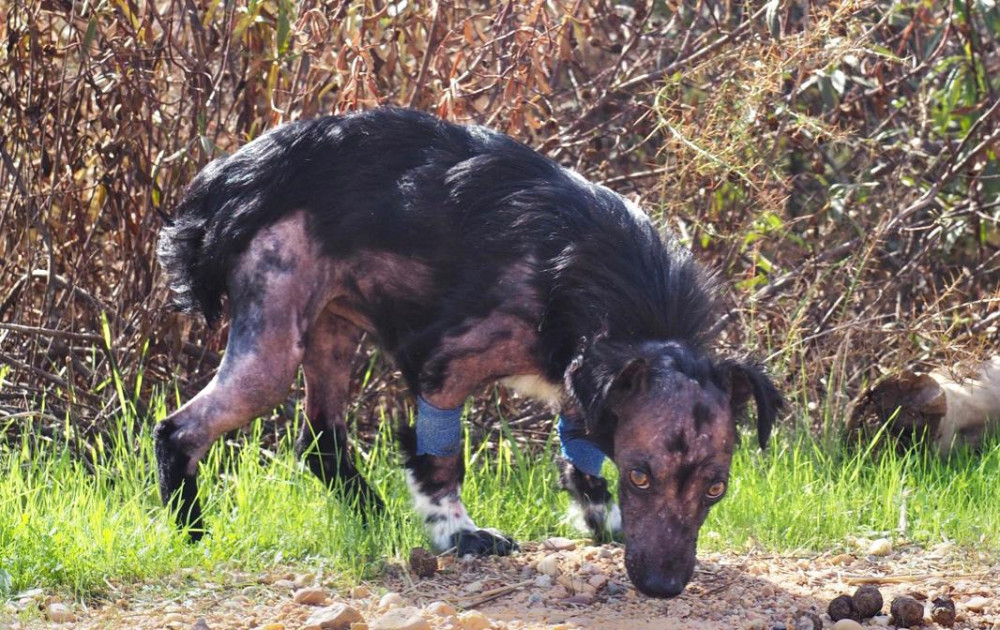 c9e72b46 3cda 43ef b662f540ec03e3 c9e72b46 3cda 43ef b662f540ec03e3