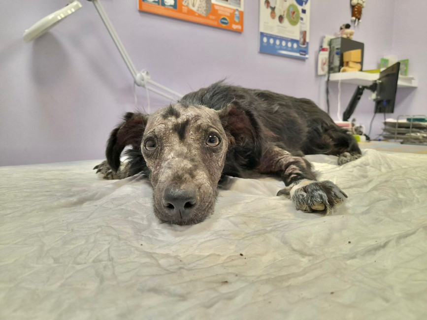 f4cc1bfa f654 4100ed3 c0da5842ffa0 f4cc1bfa f654 4100ed3 c0da5842ffa0