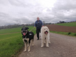 bella und balou bella und balou