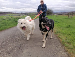 bella und balou bella und balou