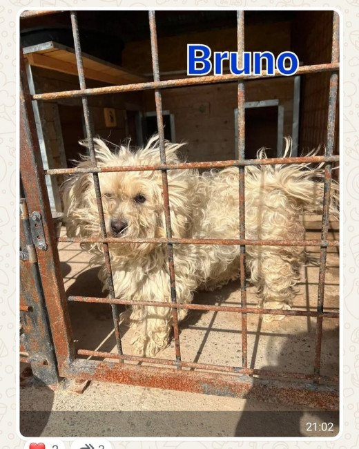 2026 06 