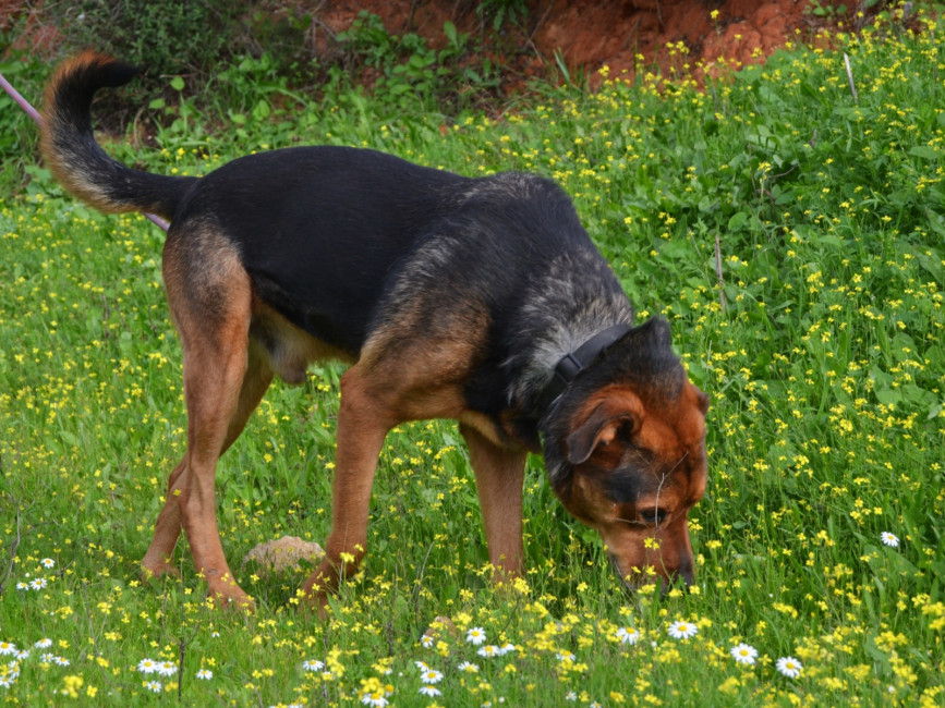 george7