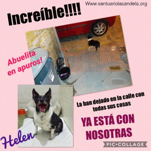 helen plakat.8.18 helen plakat.8.18