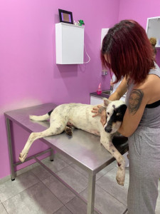 laud in klinik am 4.5.2019 laud in klinik am 4.5.2019
