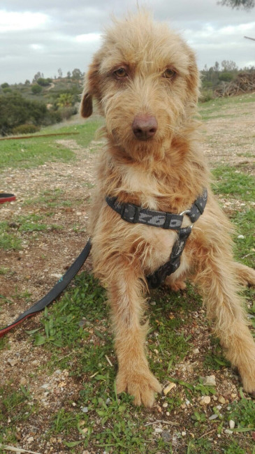 rosita b rosita b