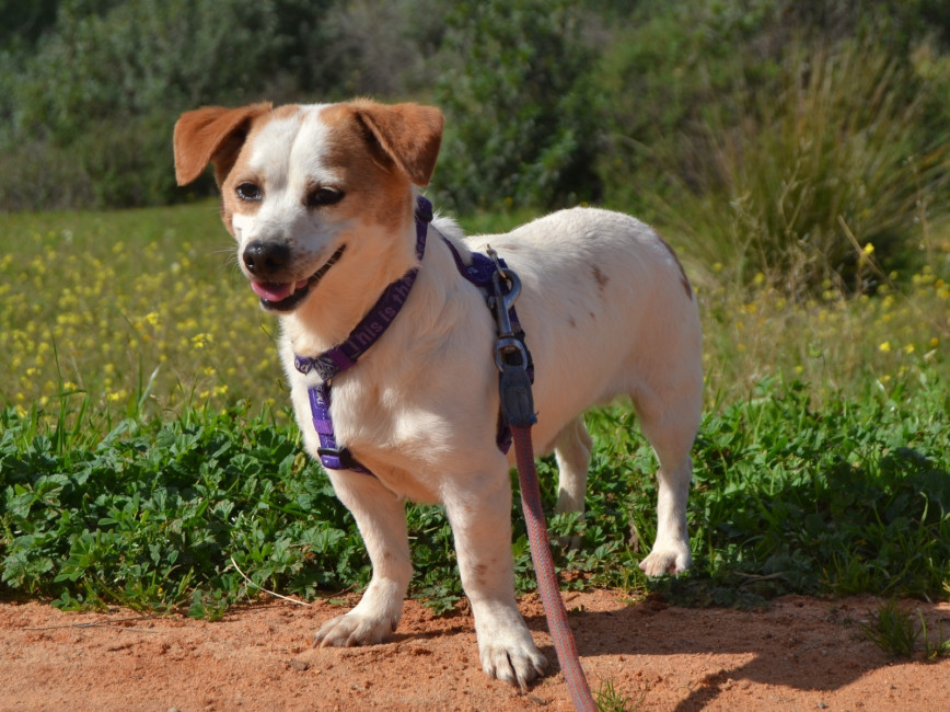 whatsapp image 2025 02 12 at.07.23